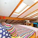 Apartament Pical